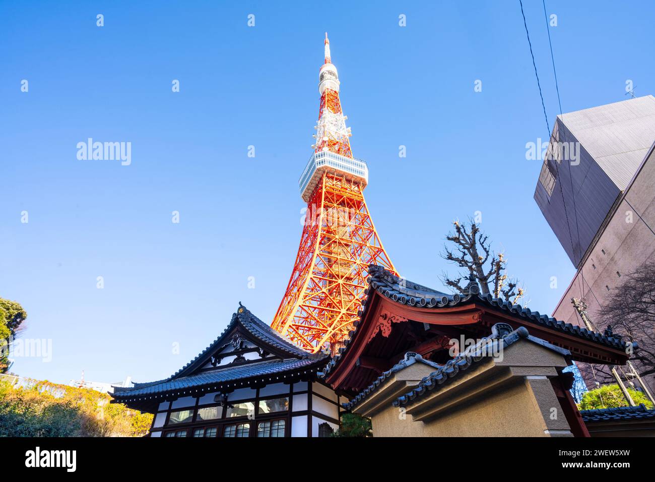 Tokyo, Japan. January 9, 2024. Panoramic view of the Tokyo Tower in the city center Stock Photo