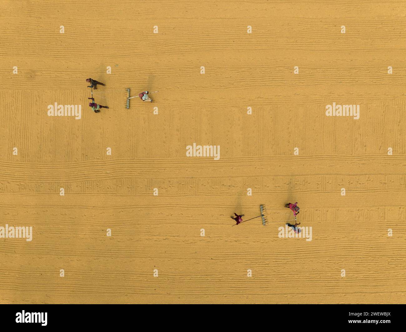 Aerial view of millions of grains of rice are laid out to dry at a mill as workers brush them with leaves in the hot sun, Dhamrai, Dhaka, Bangladesh. Stock Photo