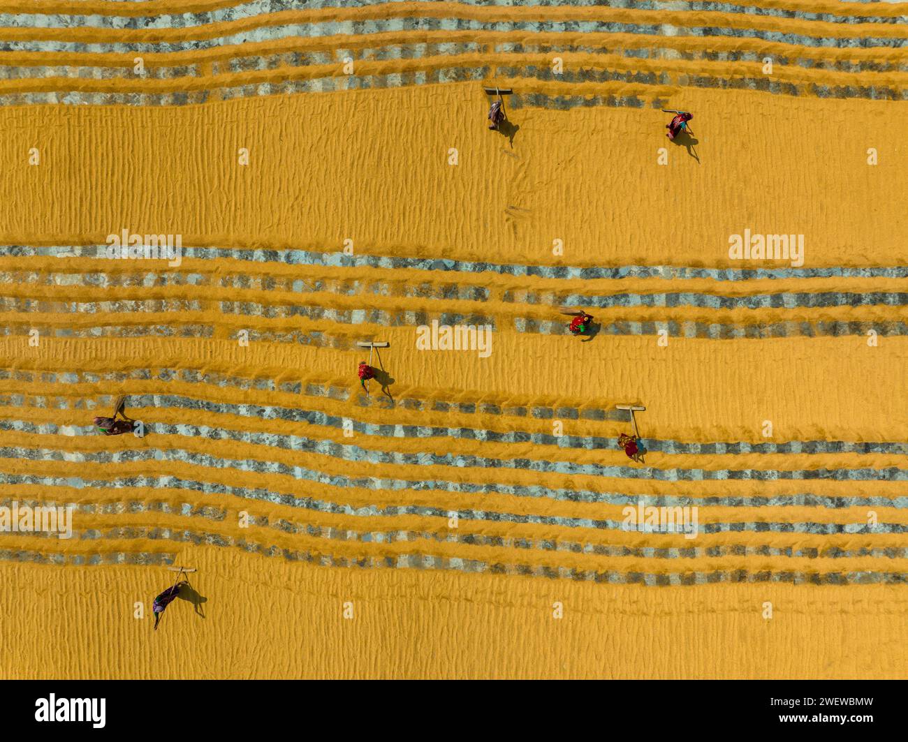 Aerial view of millions of grains of rice are laid out to dry at a mill as workers brush them with leaves in the hot sun, Dhamrai, Dhaka, Bangladesh. Stock Photo