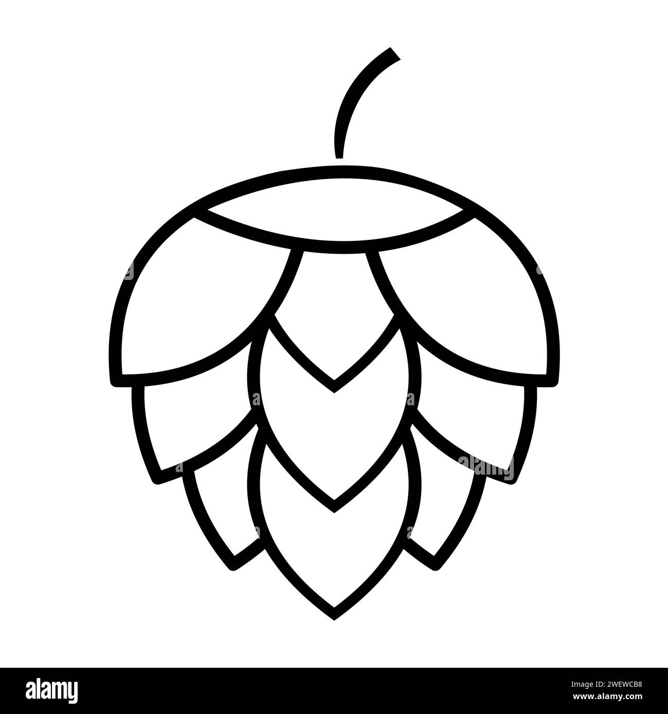 Hop icon beer cone leaf sign,pub herb design, nature seed vector