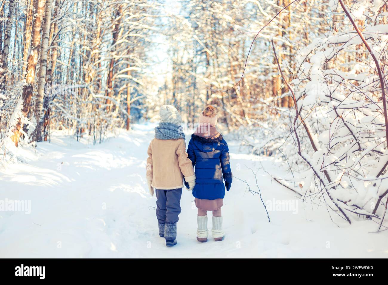 Children walk in a winter snowy forest. Frosty sunny day. Stock Photo