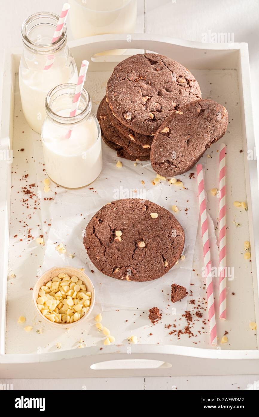 Milky and crunchy chocolate cookies served with fresh milk.. Chocolate ...