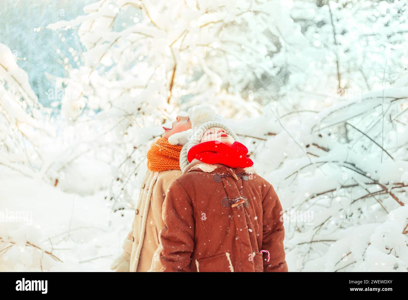 Children catch snowflakes with their mouths in a winter snowy forest. Frosty sunny day. Stock Photo