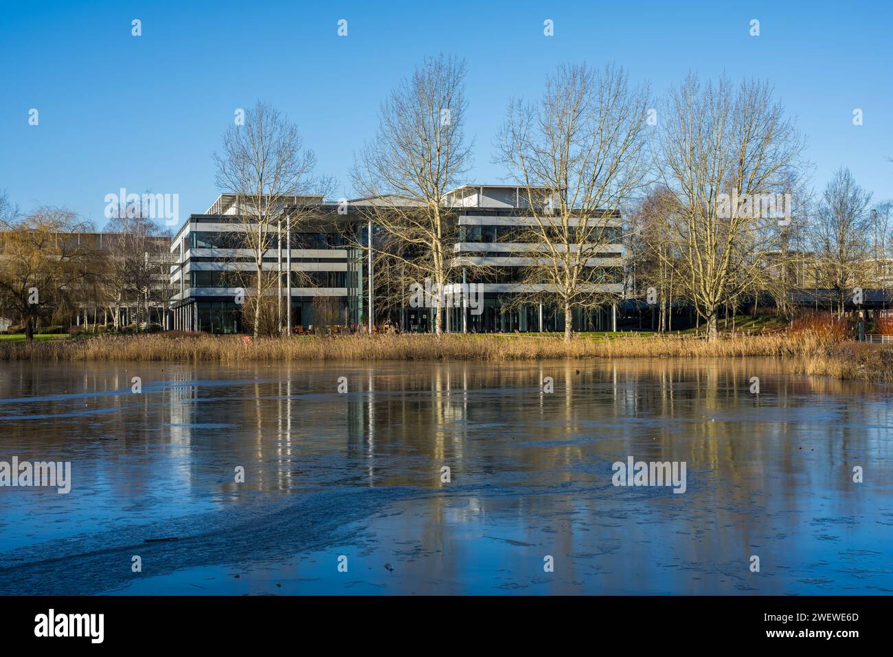 Frozen Lake, Winter Landscape at Green Park, Business Park, Reading ...