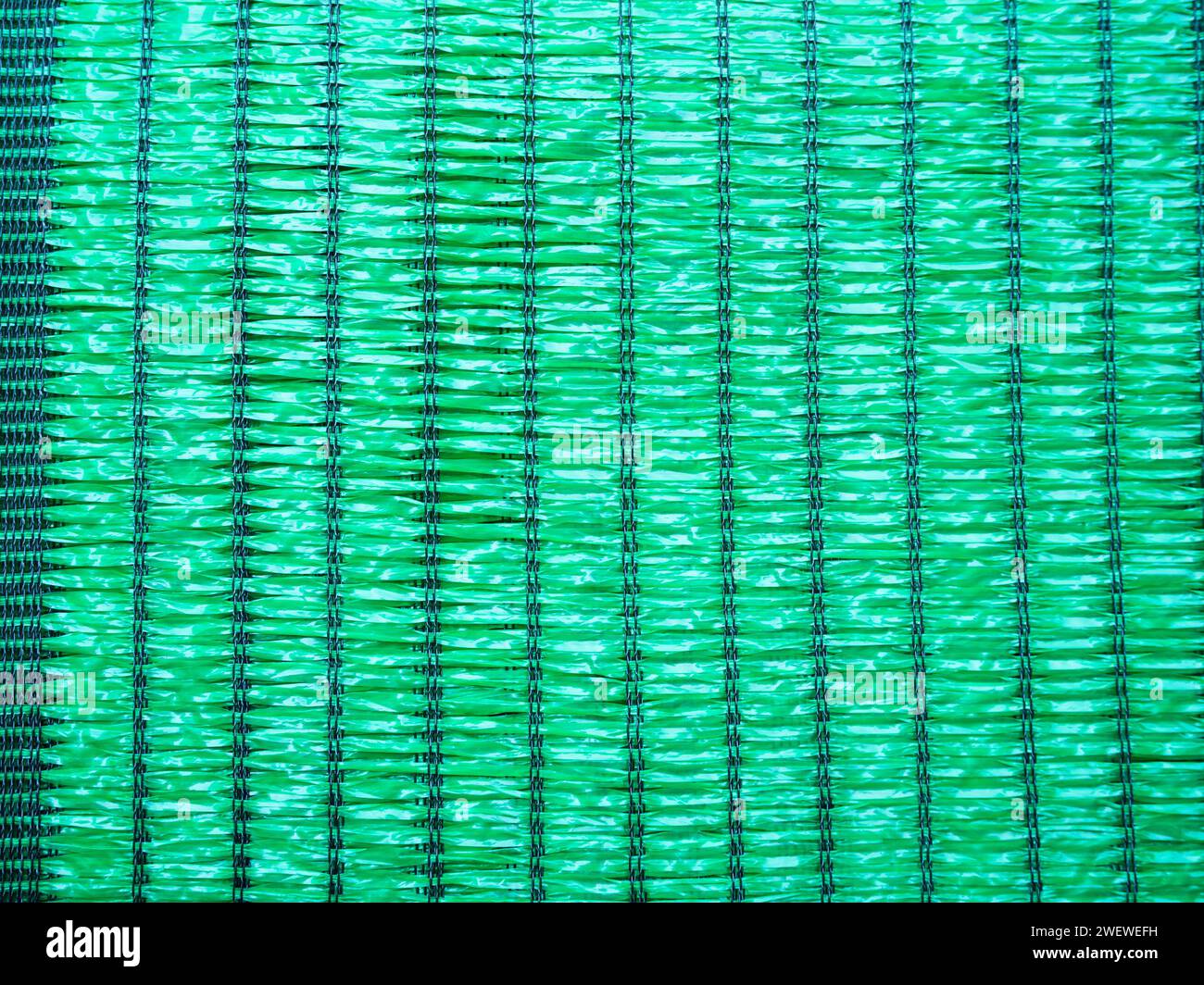 Shading net hi-res stock photography and images - Alamy