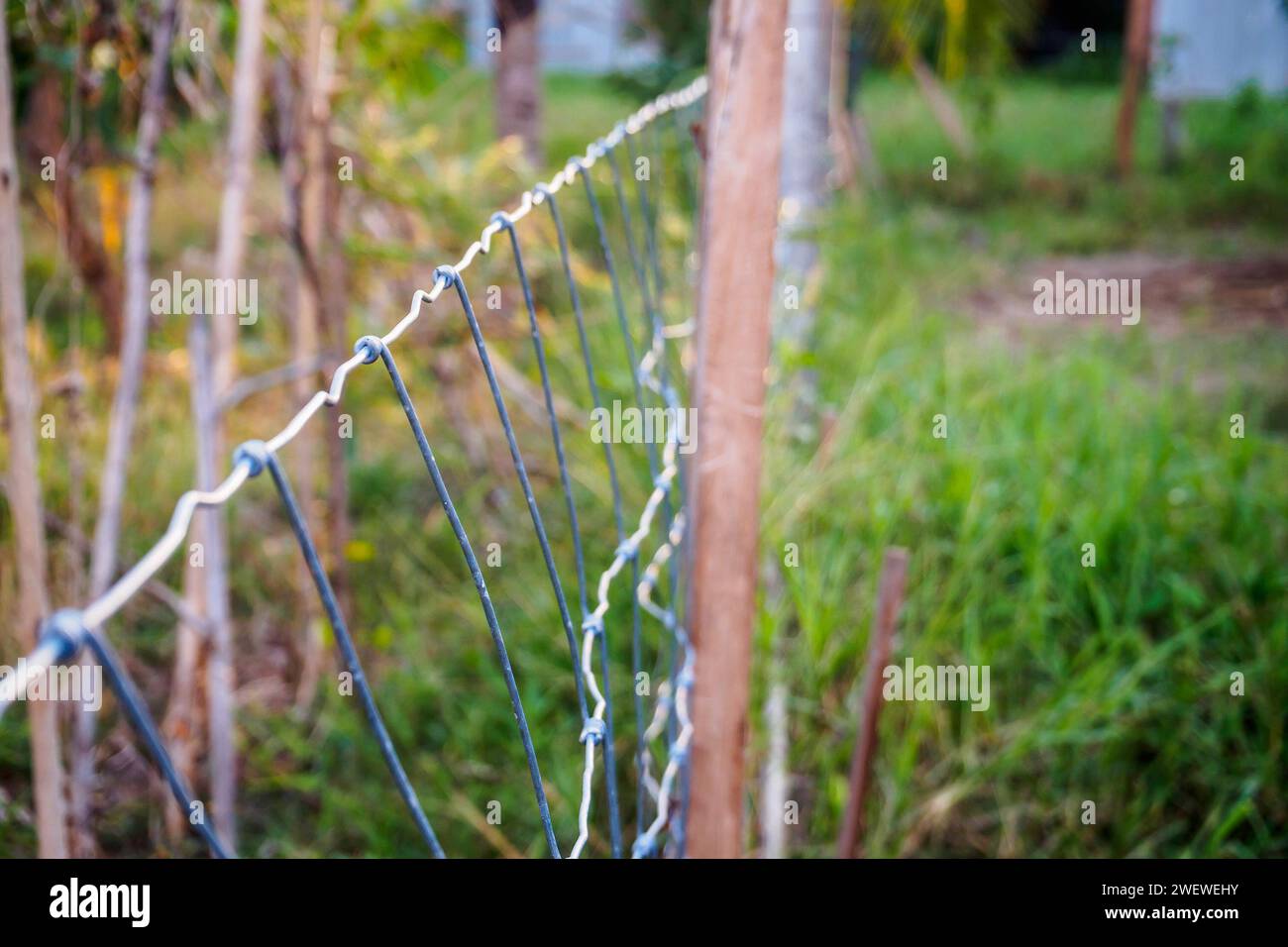 Metal fence wire hi-res stock photography and images - Alamy