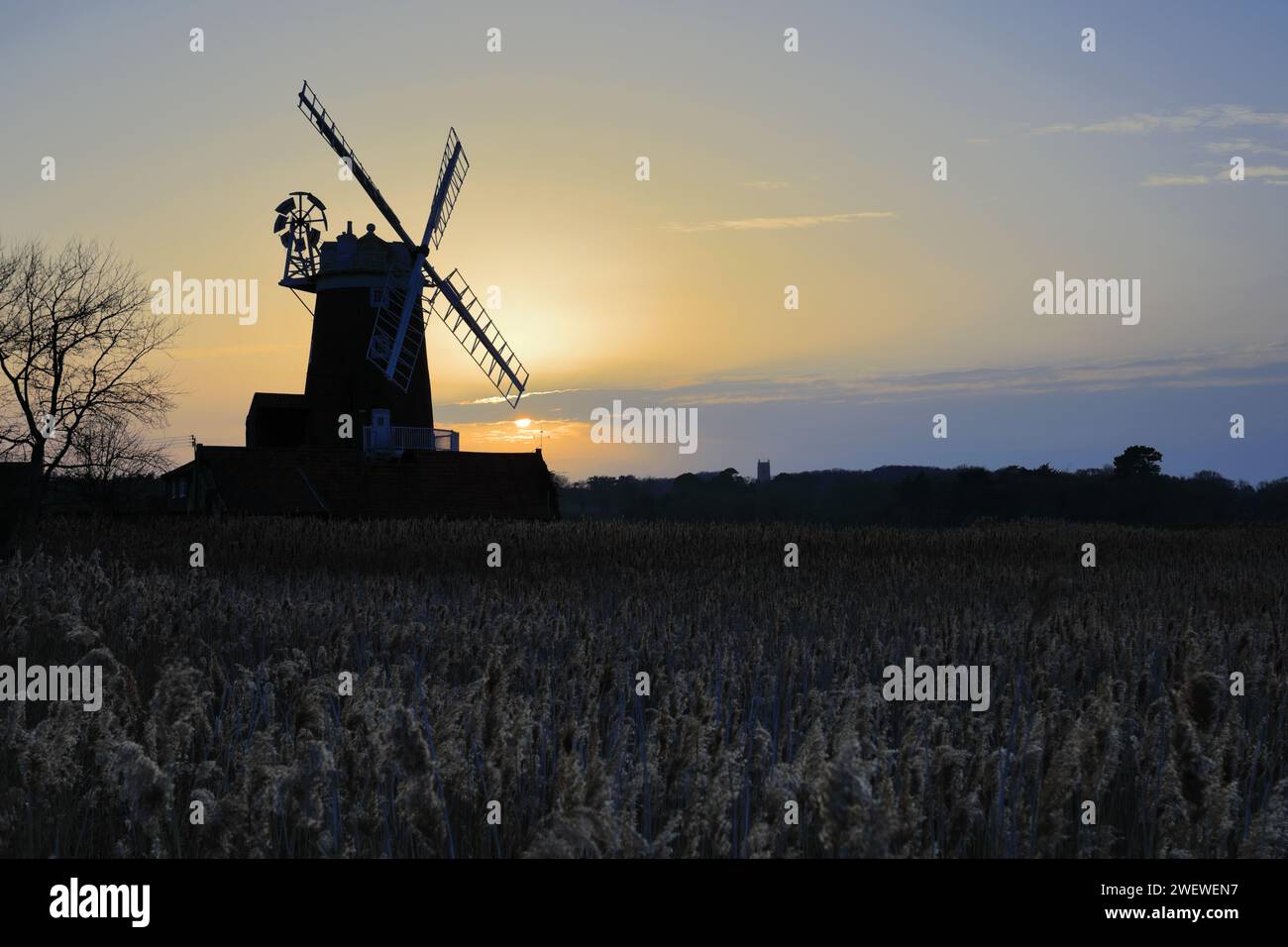 View over reed beds to Cley Windmill, Cley-next-the-Sea village, North Norfolk Coast, England Stock Photo