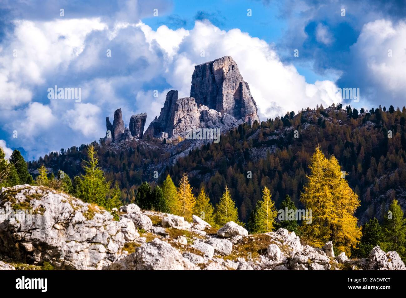 Colourful larch and pine trees on the slopes of the rock formation Cinque Torri, seen from Falzarego Pass in autumn. Stock Photo
