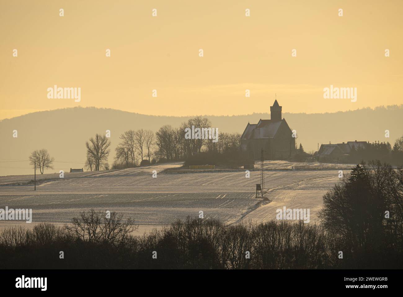 Two lonely trees, Winter landscapes, trees, animals, birds, pulpits, church, hills and hills Stock Photo