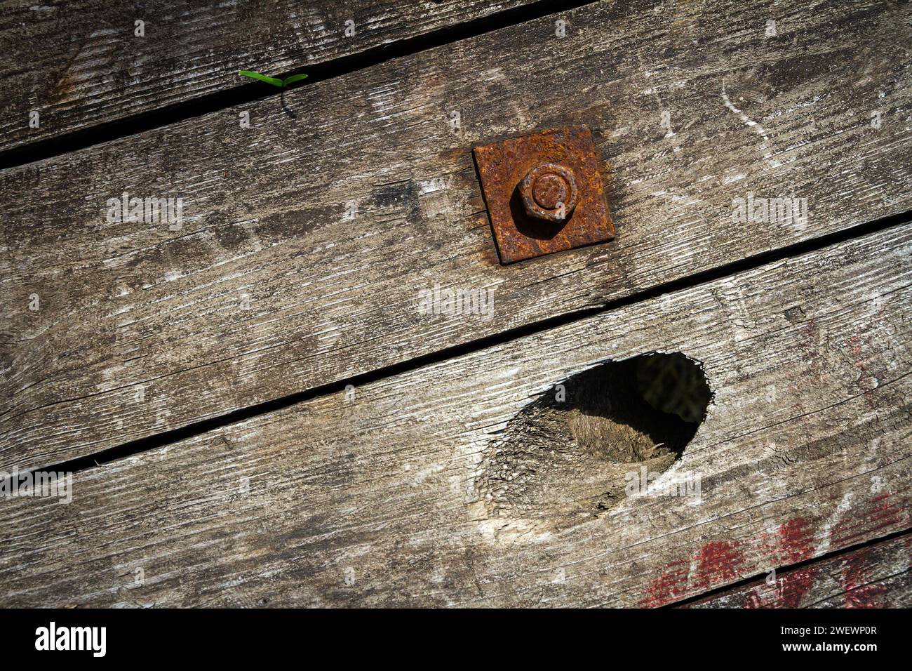 An old and cracked wooden panels with rusty nut and bolt in it as a background Stock Photo