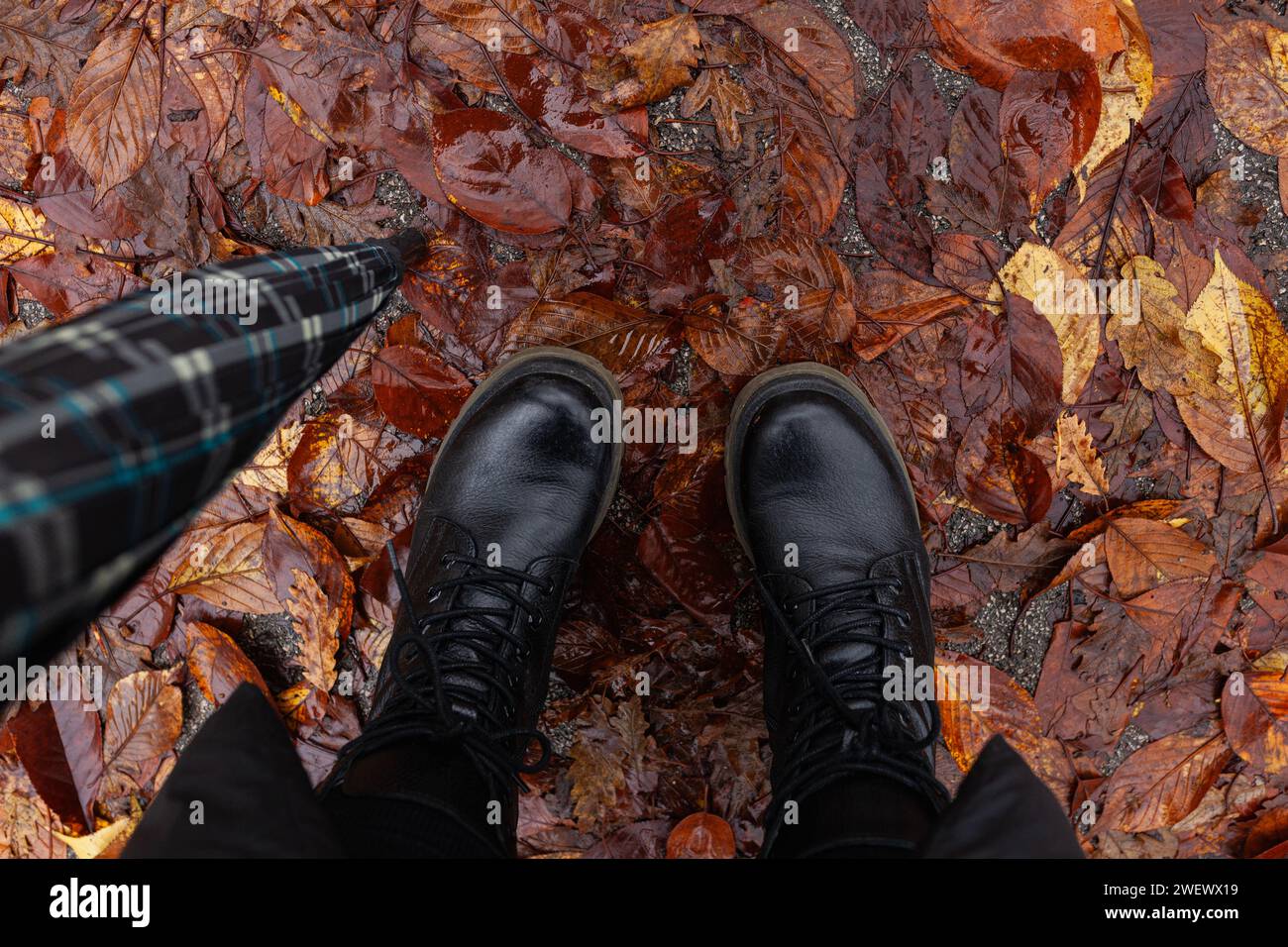 Top view of woman's feet in black winter boots standing in the rain on wet street in pile of fallen leaves, holding an umbrella Stock Photo