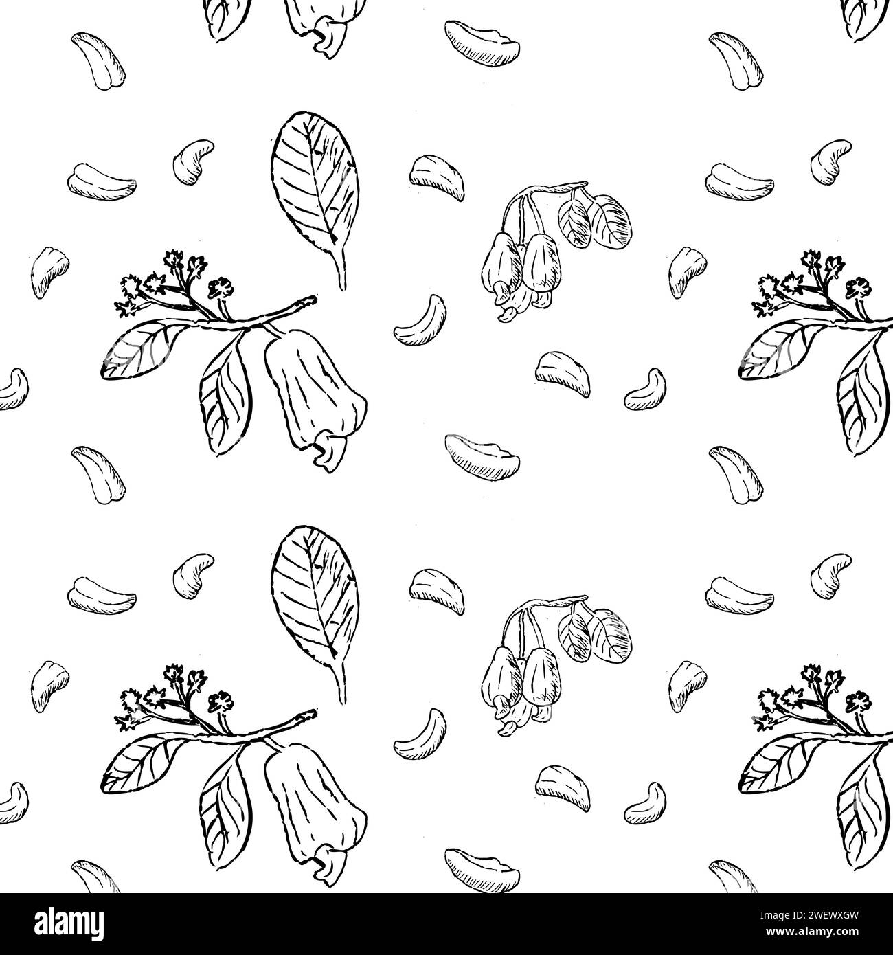 Cashew seamless outline background in hand drawn style. Vector ...