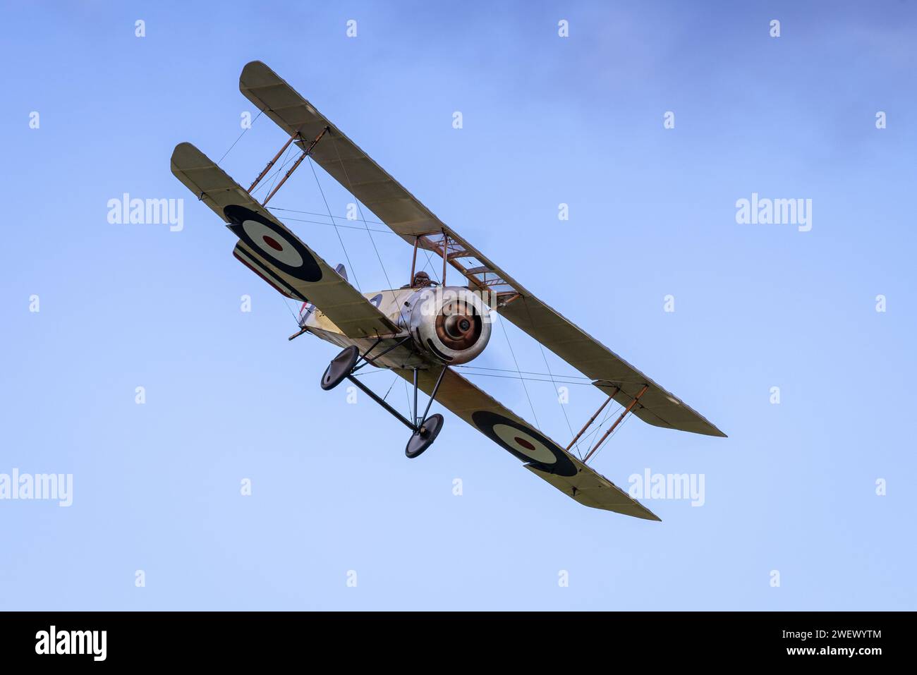 Old Warden, UK - 2nd October 2022: Vintage Sopwith Pup biplane in flight low over airfield. Close up shot Stock Photo