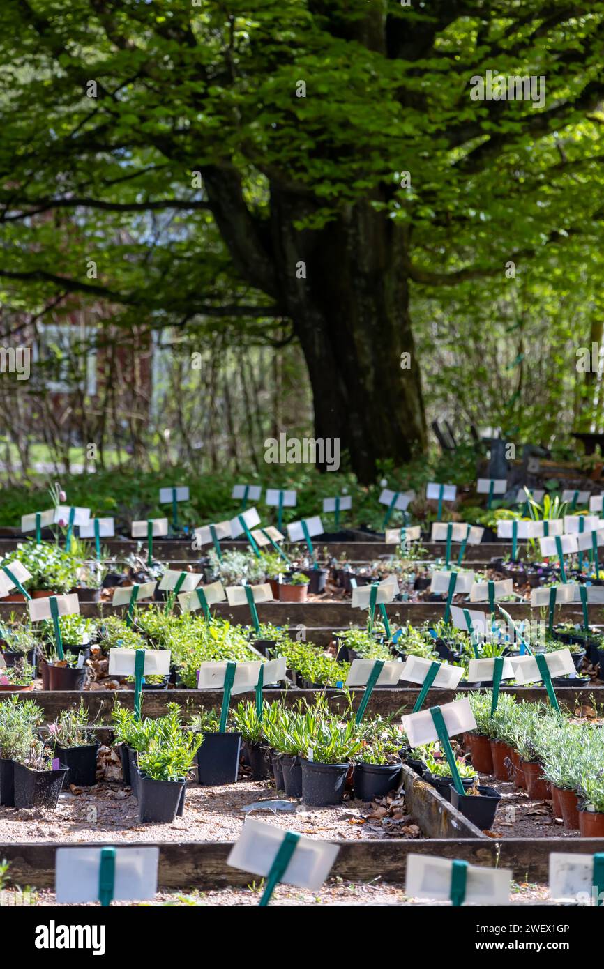 A garden with green potted plants and name signs Stock Photo