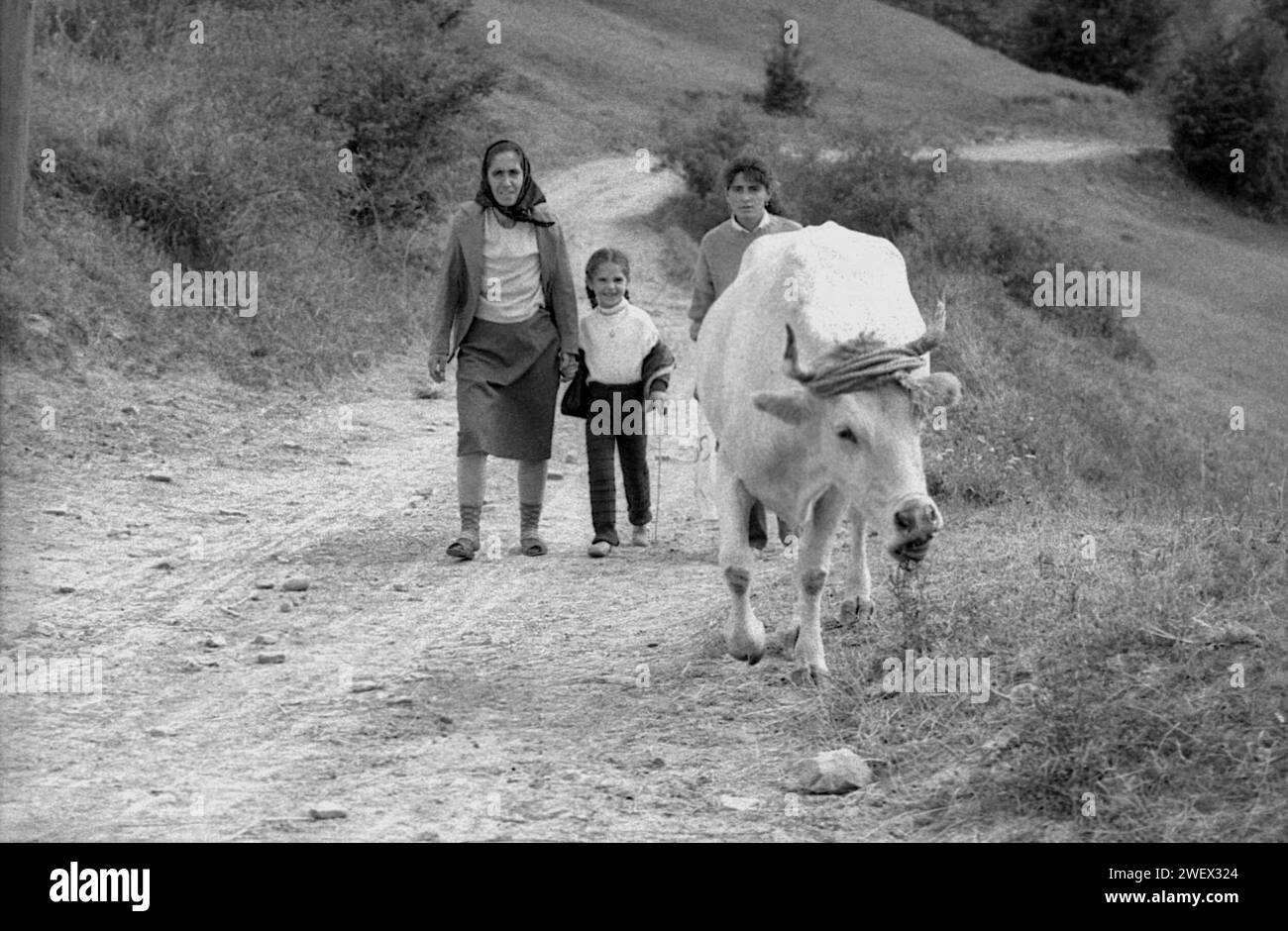 Vrancea County, Romania, approx. 1992. Little girl, her mother and ...