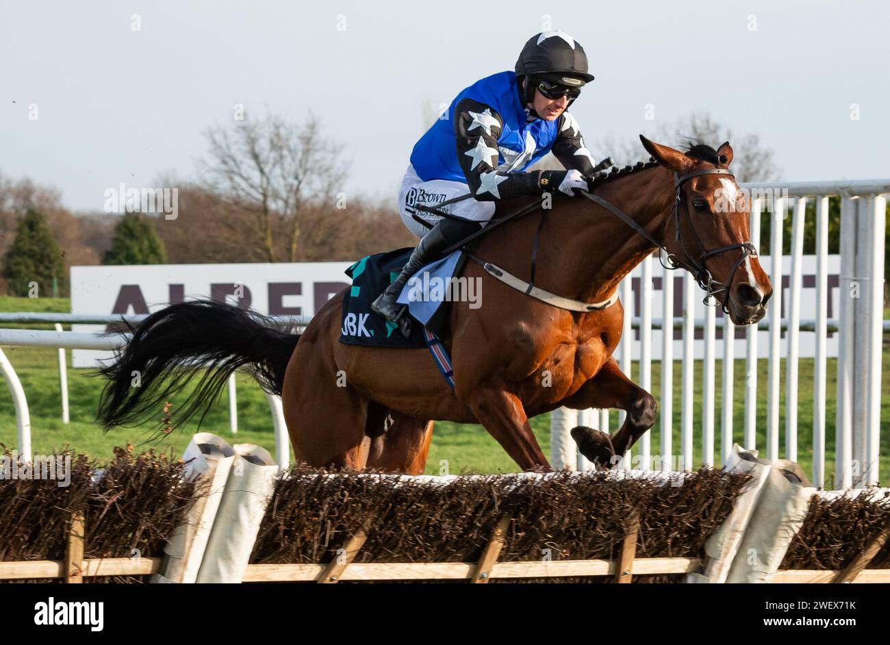 Ashroe Diamond and Mr Patrick Mullins win the SBK Yorkshire Rose Mares Hurdle for trainer Willie Mullins and owners Blue Blood Racing Club. Stock Photo