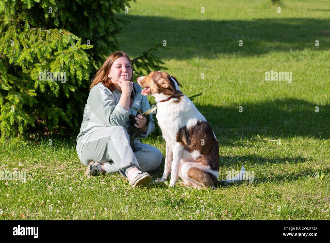 A woman sits in a meadow with a large dog in summer Russia Yaroslavl August 10, 2023 Stock Photo