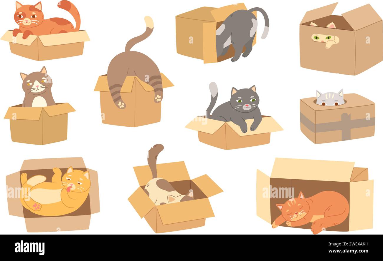 Cartoon cats in cardboard box. Felines play with boxes, adopt kittens and funny packed cats vector illustration set Stock Vector