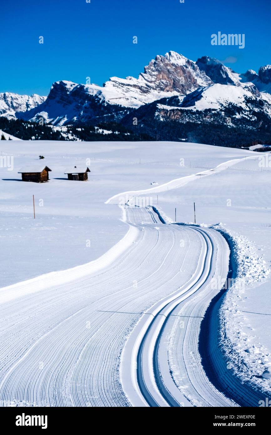 Cross country ski tracks on snow-covered pastures at Seiser Alm in winter, summits of Seceda, Odle group and Pitschberg in the distance. Kastelruth Tr Stock Photo