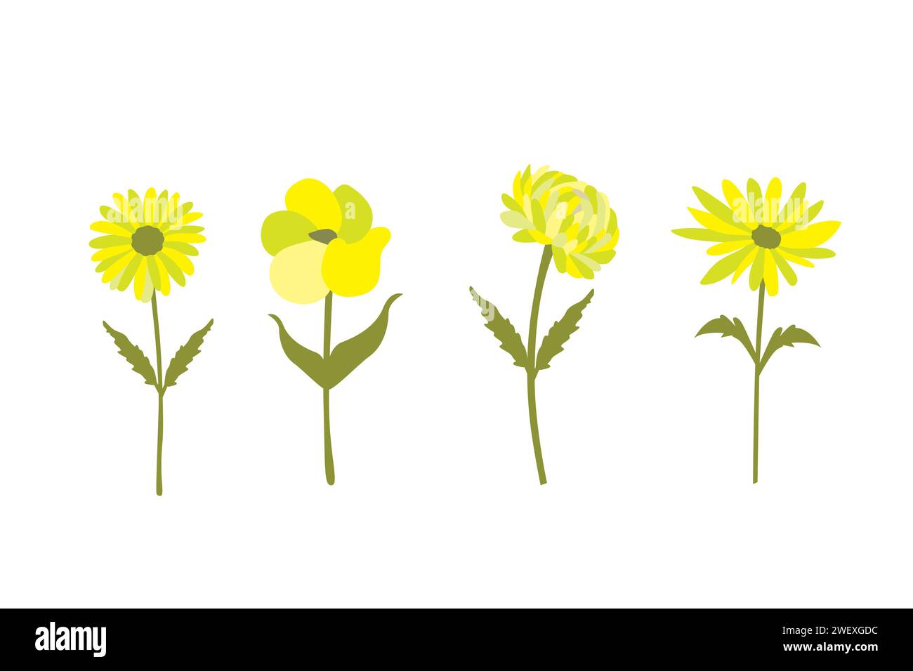 Set of flowers on a white background. Vector illustration in flat style. Stock Vector