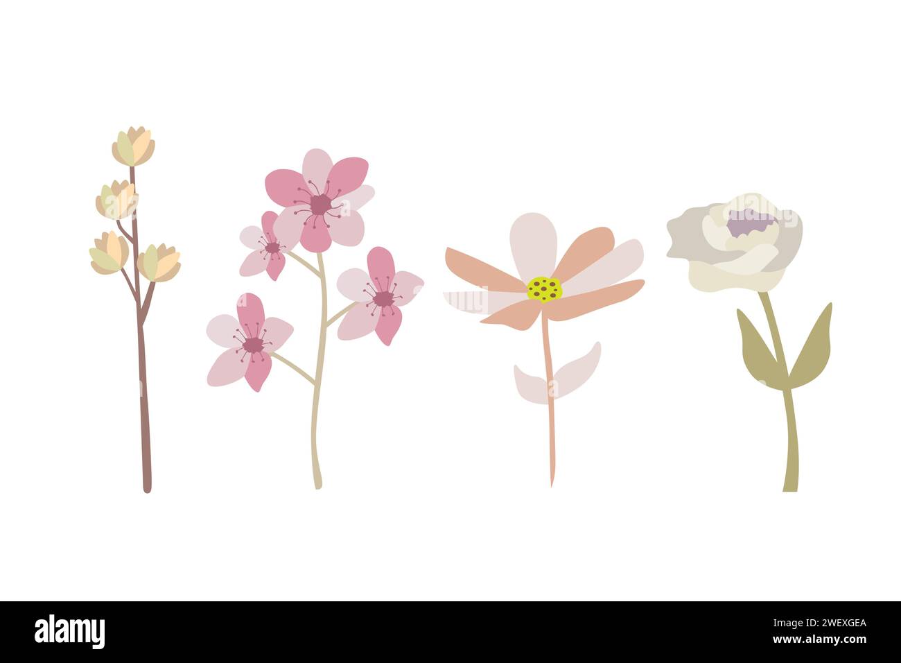 Set of flowers on a white background. Vector illustration in flat style. Stock Vector