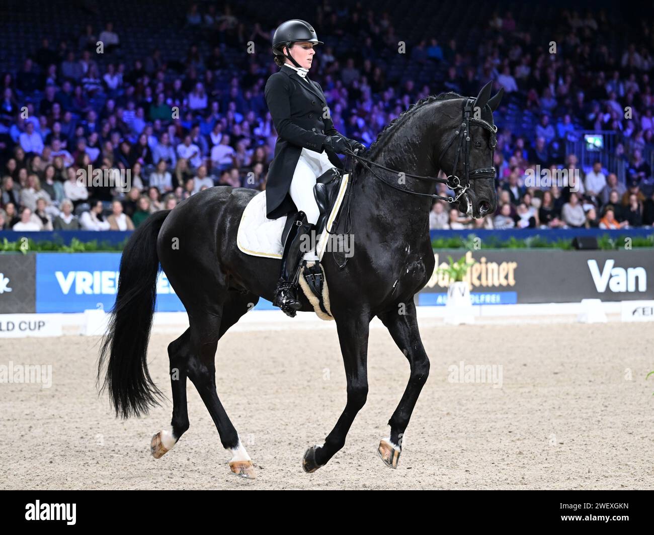 AMSTERDAM - Denise Nekeman with Boston Sth during the FEI World Cup dressage competition at the Jumping Amsterdam 2024 tournament at the RAI on January 26, 2024 in Amsterdam, the Netherlands. ANP | Hollandse Hoogte | GERRIT VAN COLOGNE Stock Photo