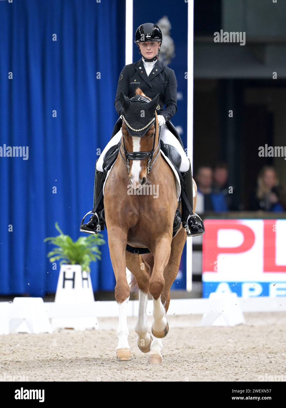 Old rai amsterdam hires stock photography and images Alamy