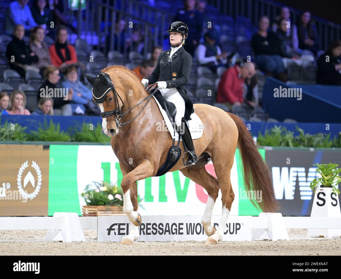 AMSTERDAM Bianca Nowag Aulenbrock with Florine OLD during the FEI