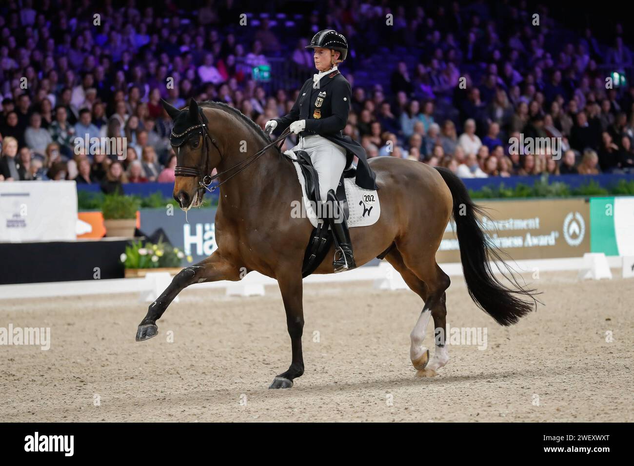 Isabell werth dsp quantaz hires stock photography and images Alamy