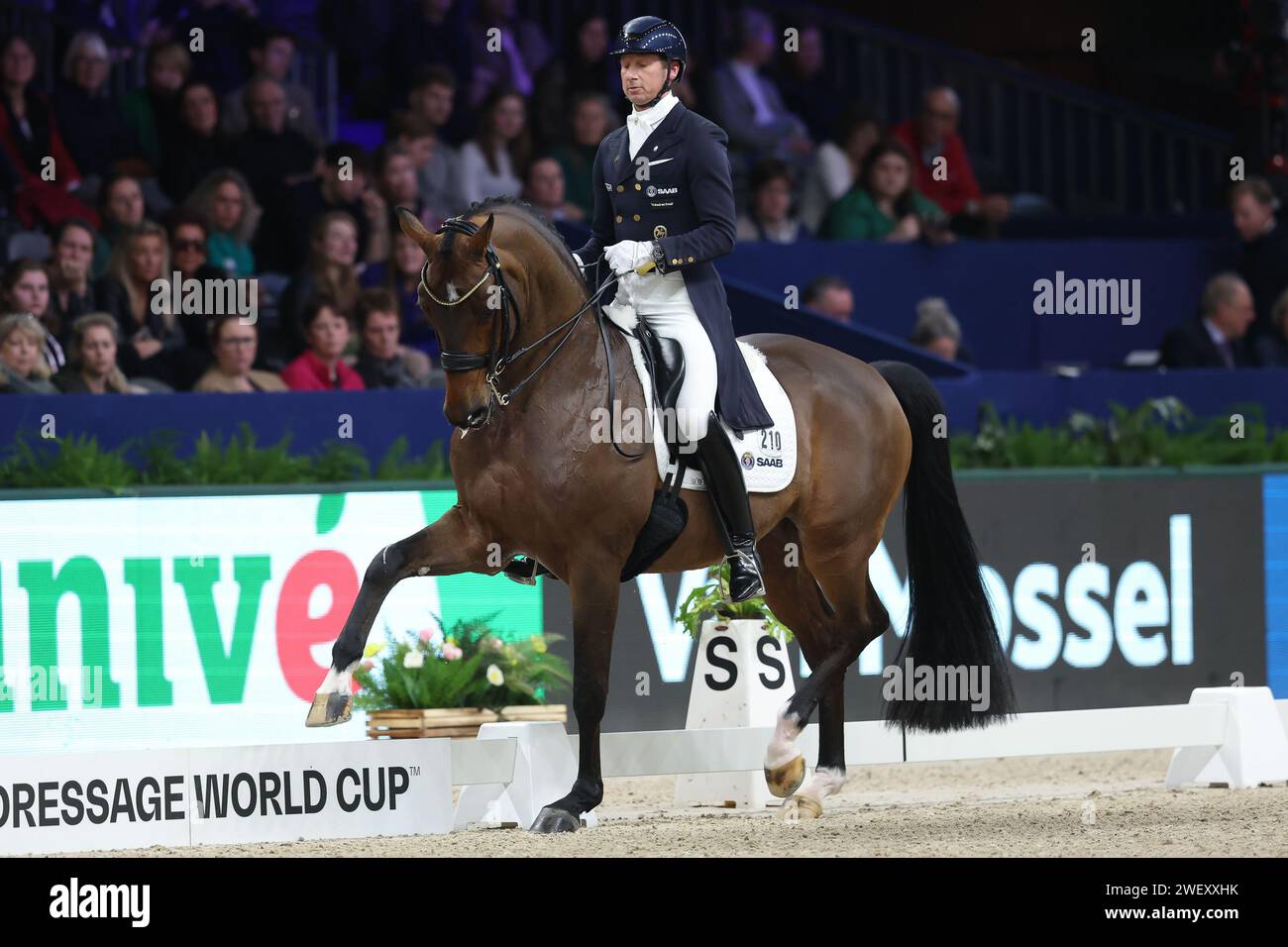 Dressage World Cup 2024 Results 2024 Alane Tracee