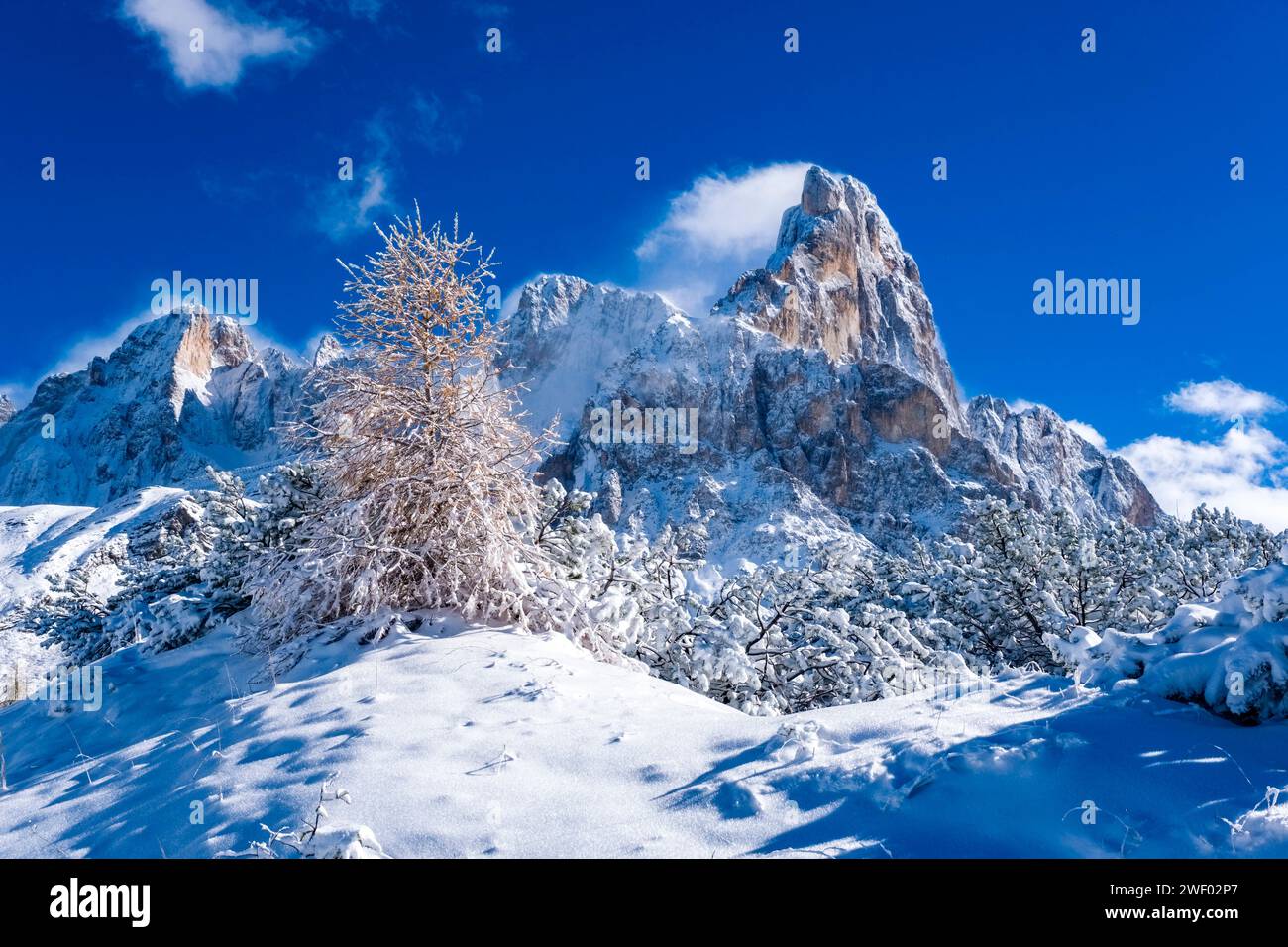 Cima della bureloni hires stock photography and images Alamy