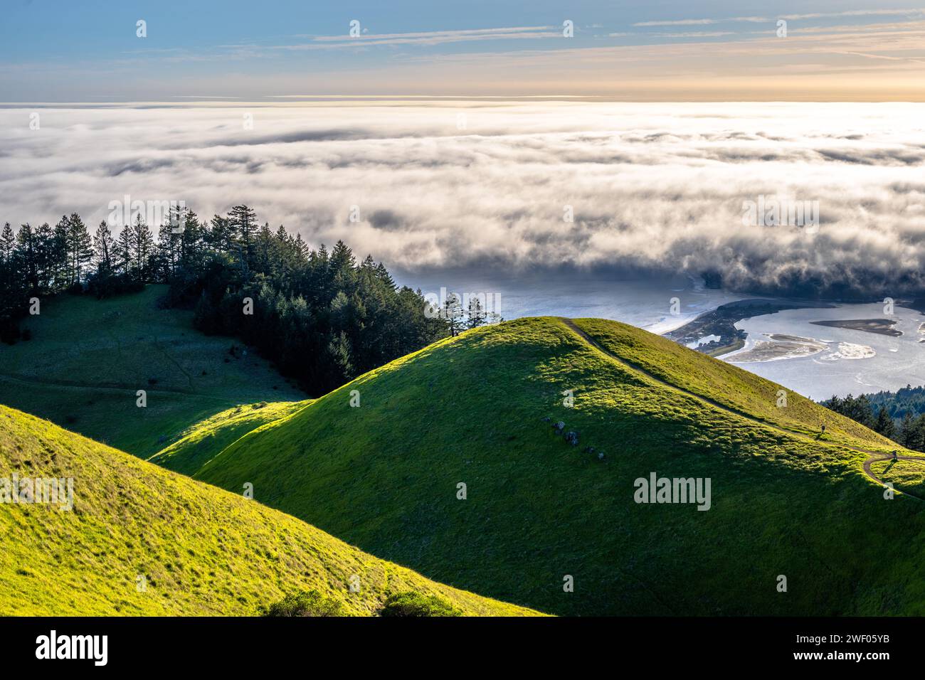 Mt Tam rolling green hills and fog on the coast above Stinson Beach in Marin County in the San Francisco Bay Area Stock Photo