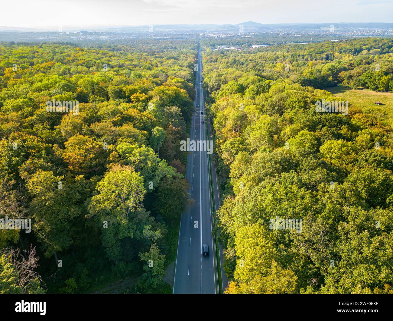 Aerial view of a straight road going through the green forest in the sunlight Stock Photo