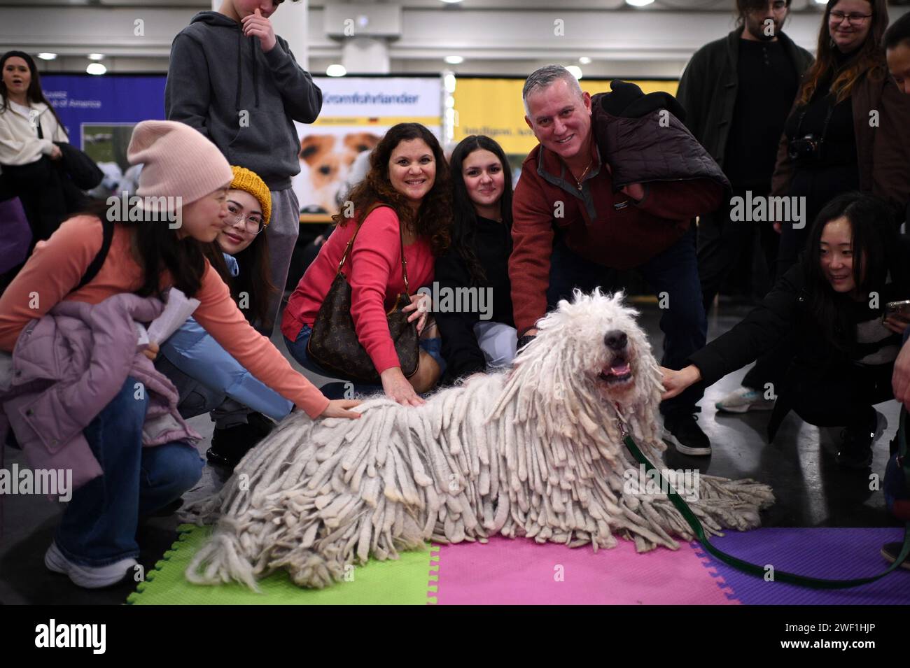 People gather around to pet the distinctive corded coat of a Komondor presented at the AKC 'Meet