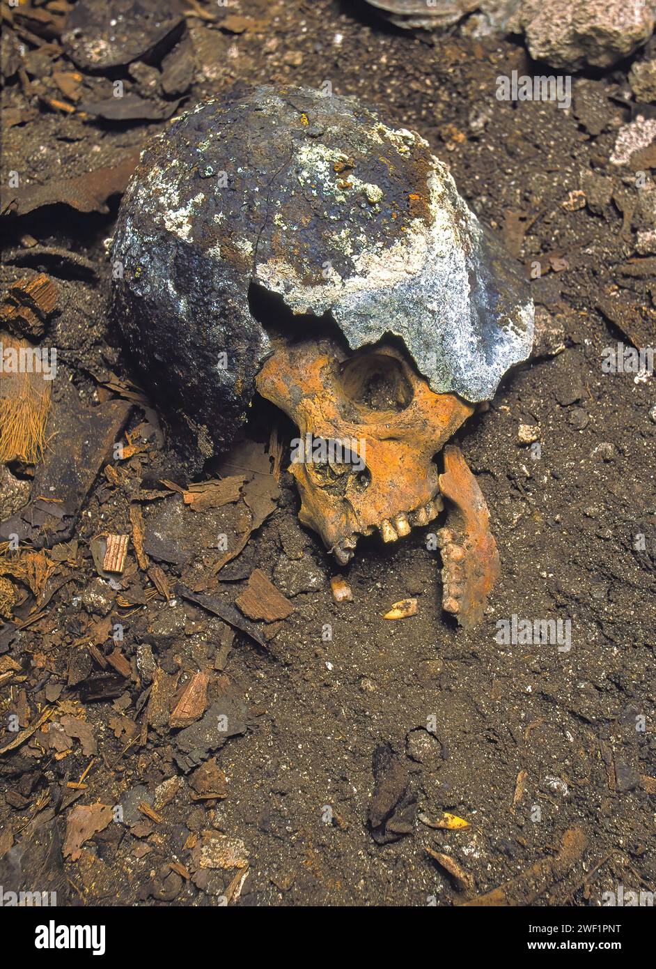 Skull of Japanese WW2 soldier still wearing helmet, killed in action inside a cave. Battle of Peleliu 1944. Pacific War. Peleliu. Palau Islands Stock Photo