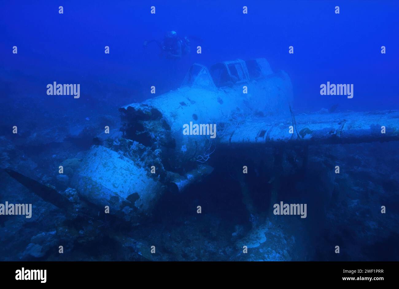 Underwater wreckage of WW2 Japanese Aichi E13A Jake floatplane, sunk 1944, Pacific war, Palau Islands, Micronesia Stock Photo