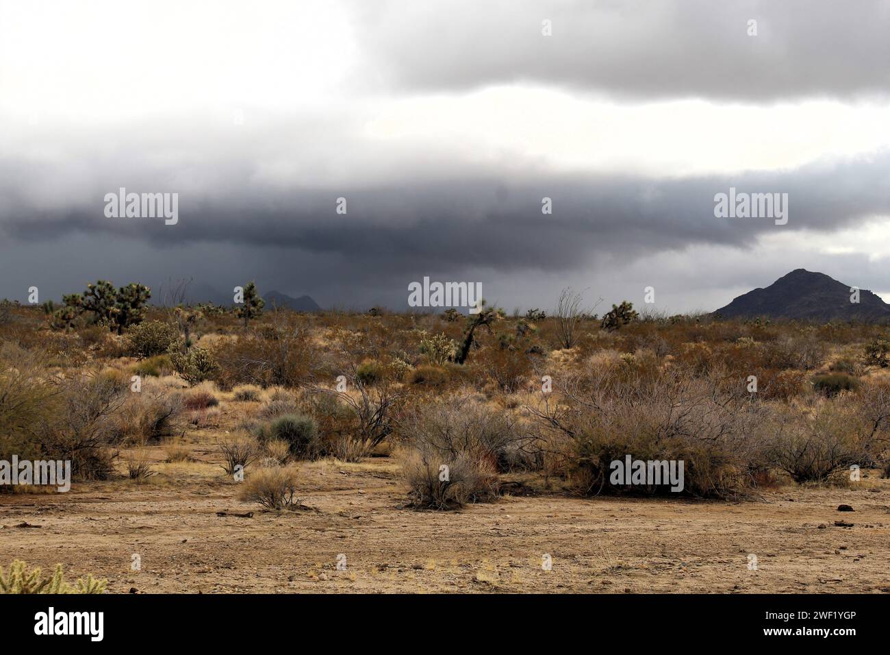 dark storm clouds over the Hualapai Mountains in Mohave County Arizona, desert rain Stock Photo