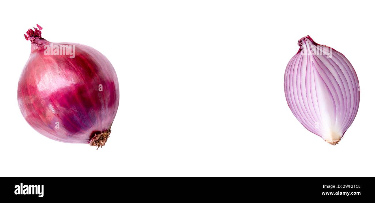 Top view of fresh red or purple onion with slice or quarter in set is ...