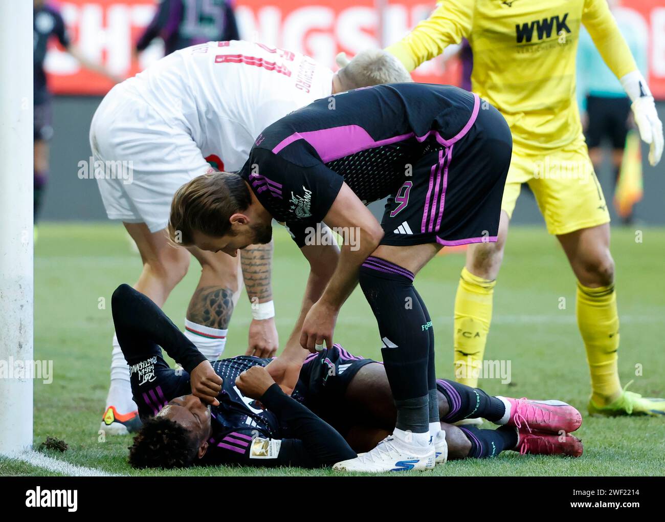 Augsburg, Germany. 27th Jan, 2024. Harry Kane (front, top) of Bayern Munich checks his teammate Kingsley Coman's injury during the German first division Bundesliga football match between FC Augsburg and Bayern Munich in Augsburg, Germany, Jan. 27, 2024. Credit: Philippe Ruiz/Xinhua/Alamy Live News Stock Photo