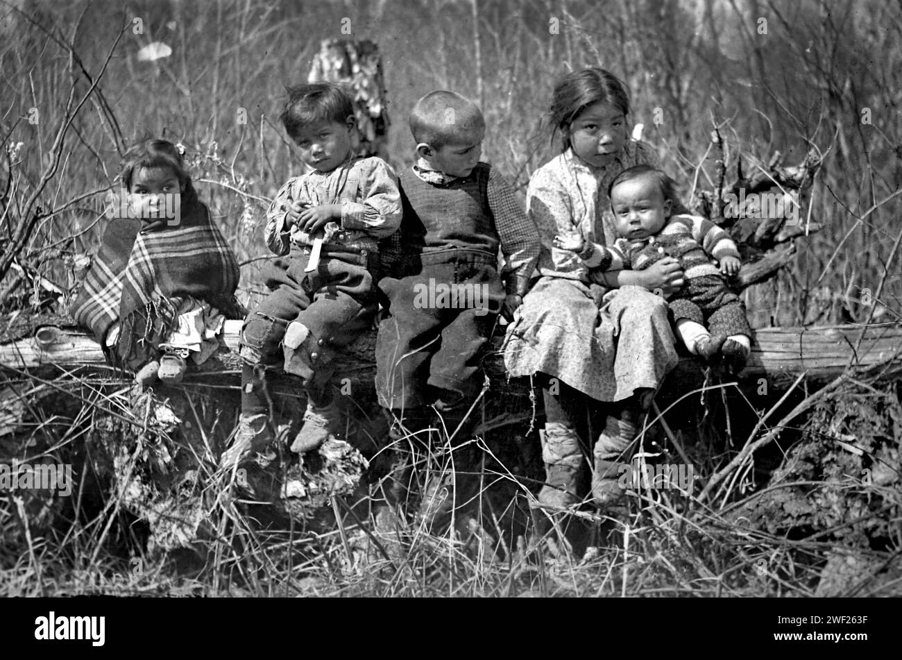 Native American Indian children in Northern Wisconsin, ca. 1910. Stock Photo