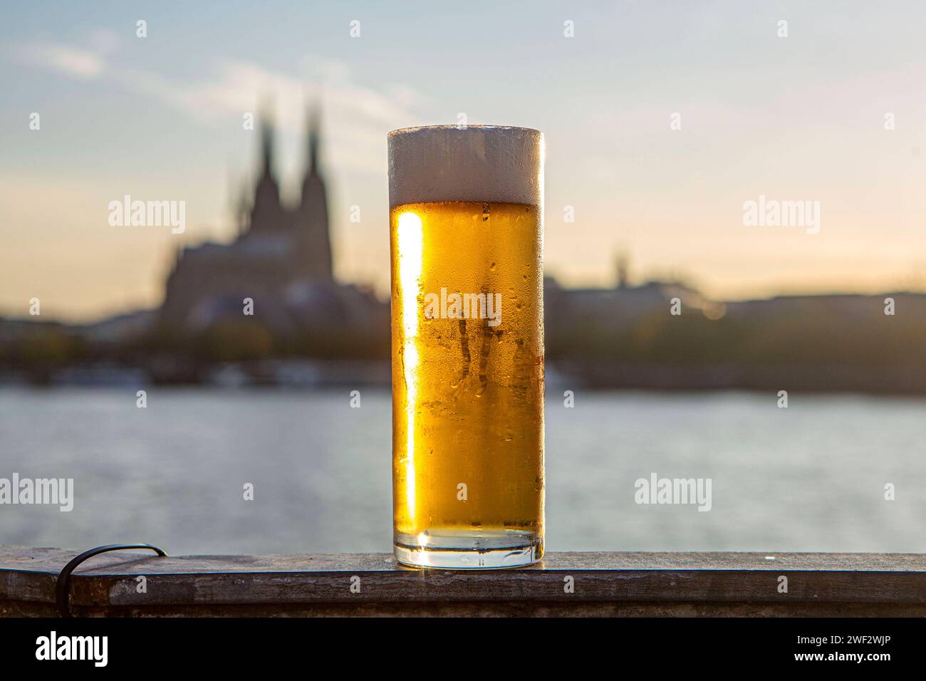 Ein Glas Kölsch steht am Rheinufer - im Hintergrund ist der Kölner Dom ...