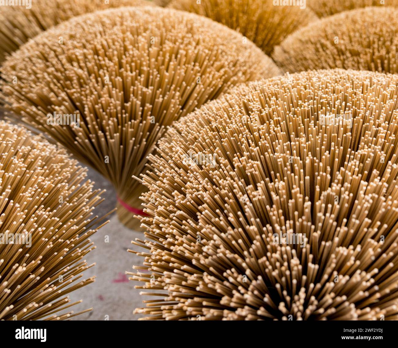 Incense Reeds Raw incense reed ready to have scent added Stock Photo - Alamy