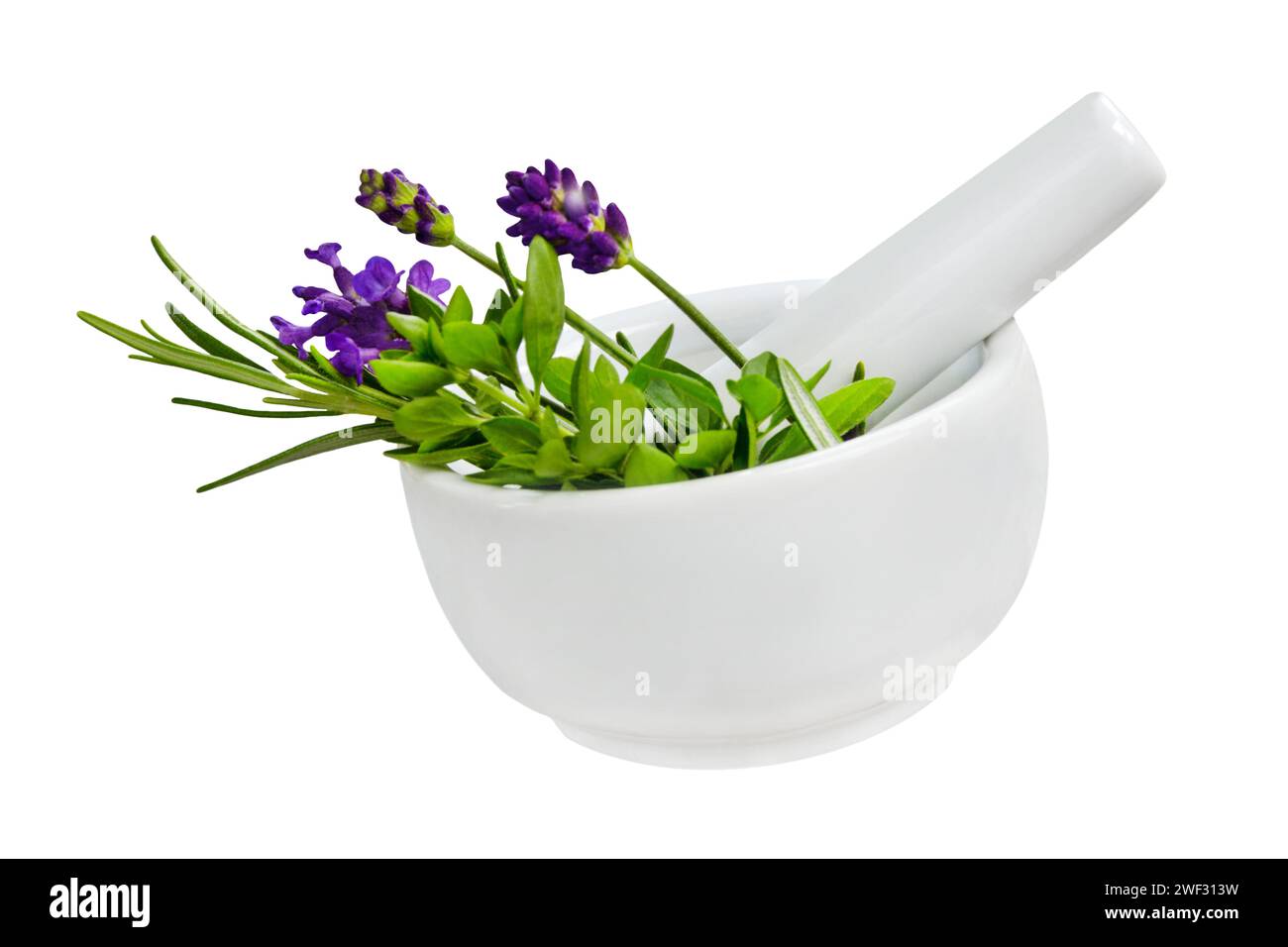 Various herbs and white mortar isolated on white background Stock Photo