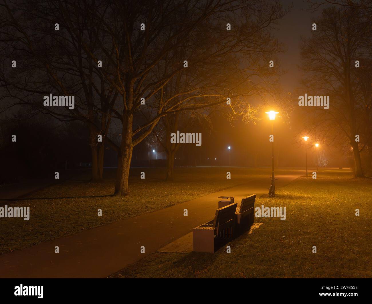 Benches nestled in the park's nocturnal greenspace: Schwanenteich in Giessen, Hessen, Germany Stock Photo