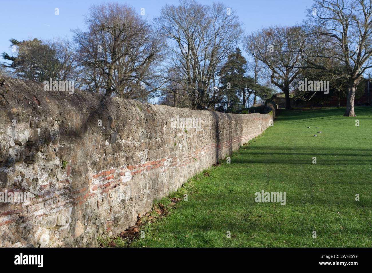 Part of the Roman wall in Castle Park, Colchester, Essex. Colchester has the earliest and best-preserved Roman town wall in Britain. Stock Photo