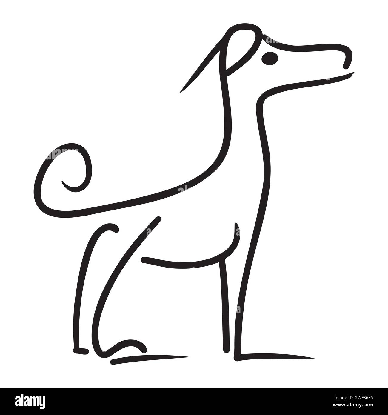 Vector hand drawn cute dog. Isolated illustration on white background ...