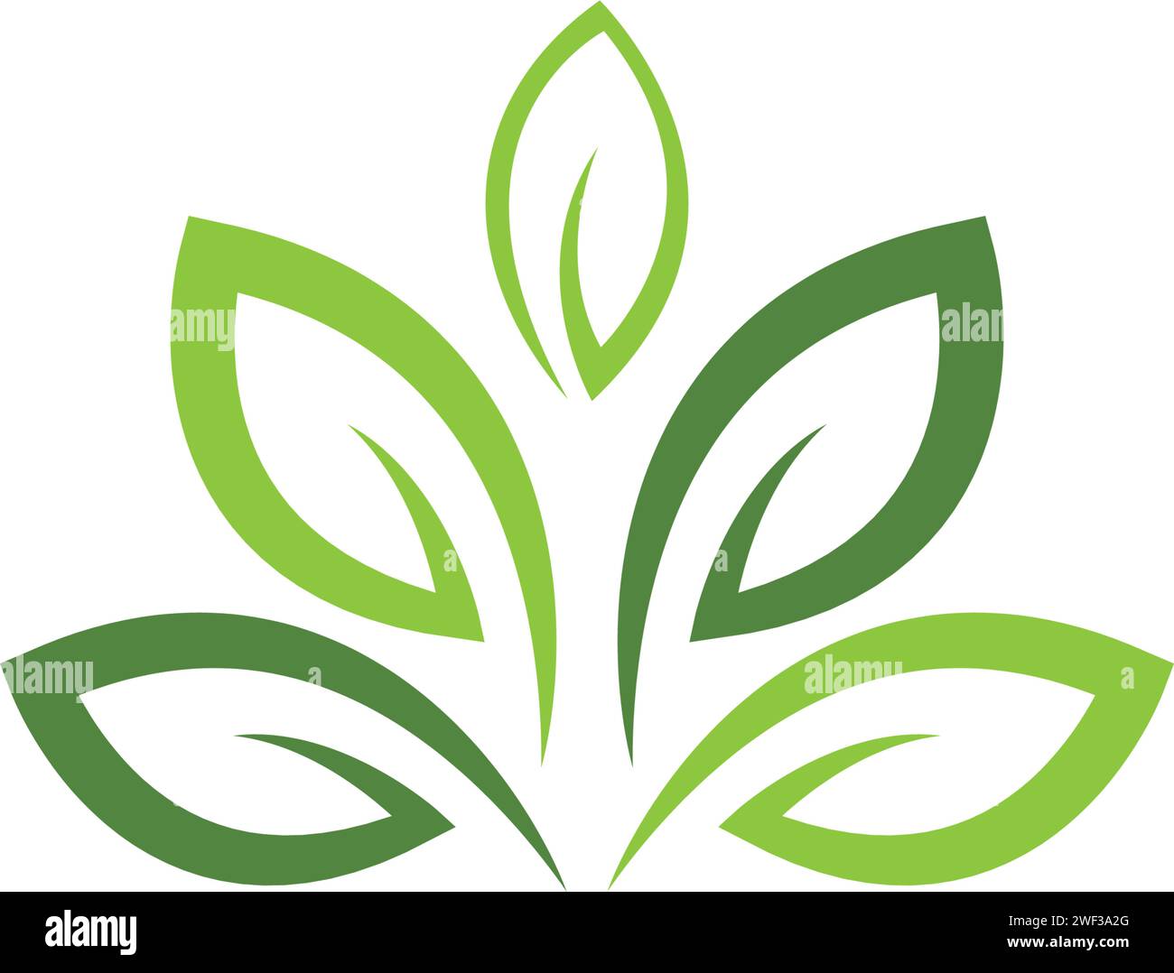 Logos of green Tree leaf ecology nature element vector Stock Vector ...