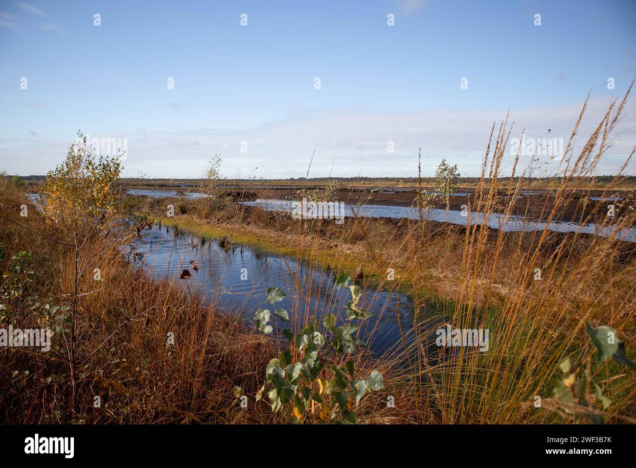 Himmelmoor, Germany Stock Photo