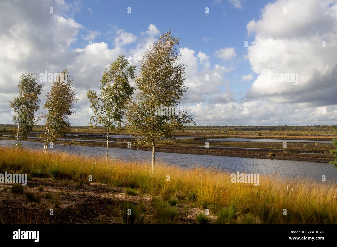 Himmelmoor, Germany Stock Photo