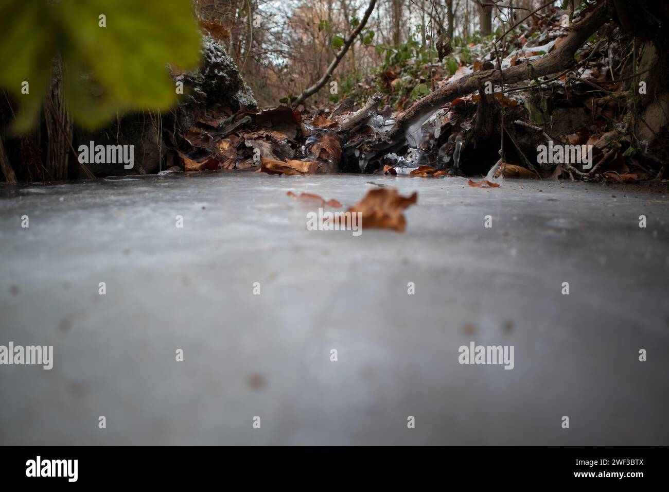 Rivulet hi-res stock photography and images - Alamy